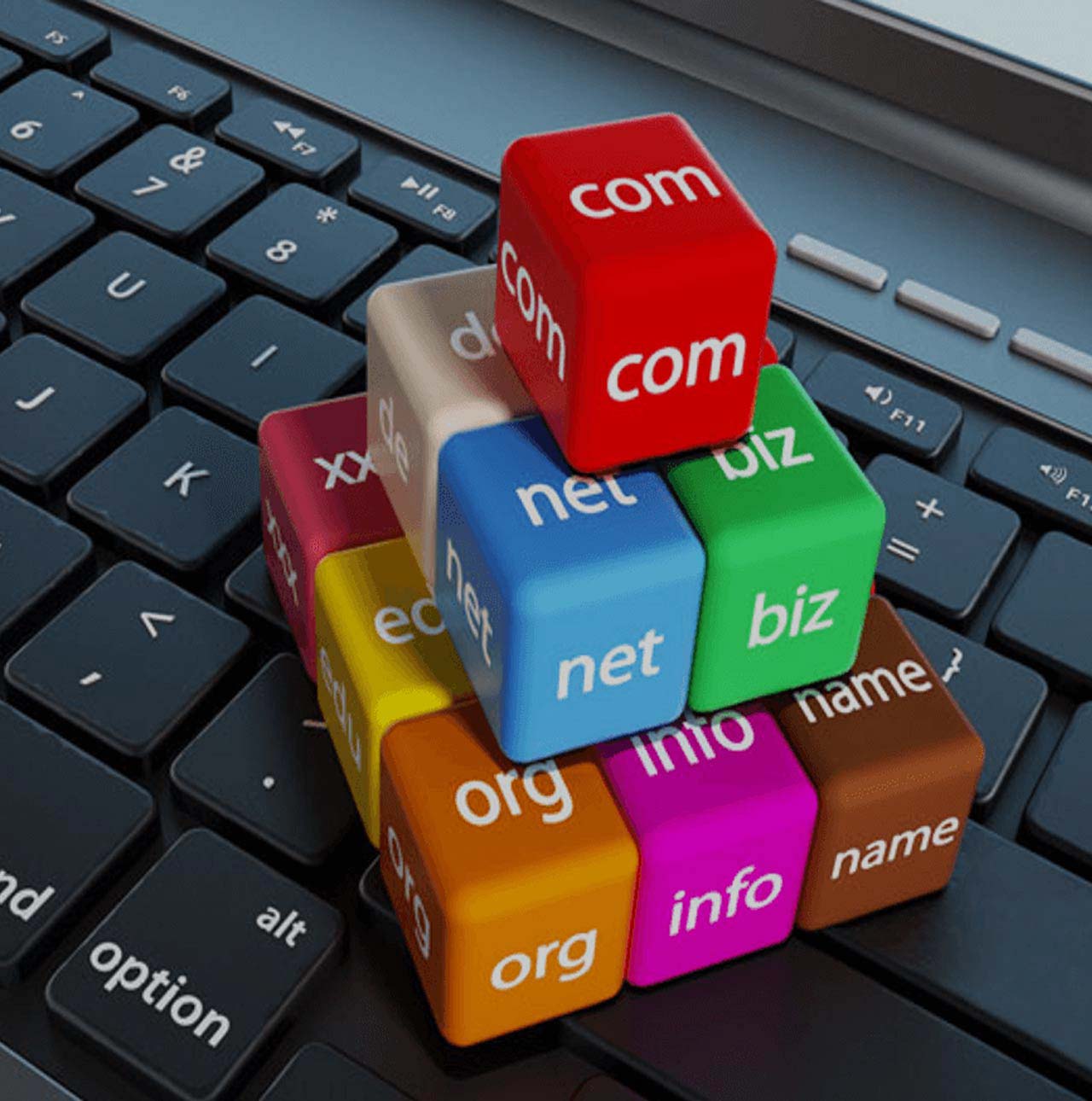 domain name registration